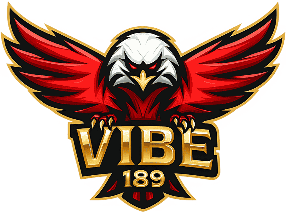 Vibe189 Logo